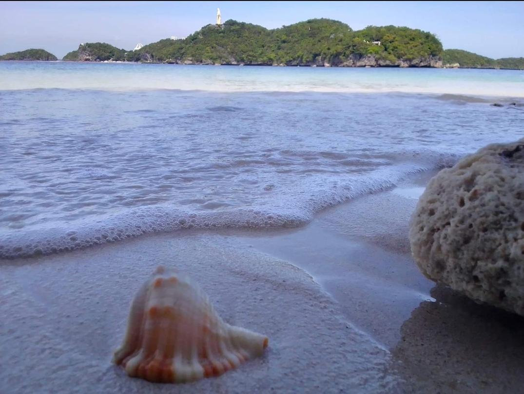 Carribean Transient House Bed & Breakfast Lucap Bagian luar foto